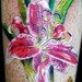 tattoo galleries/ -  - 37786